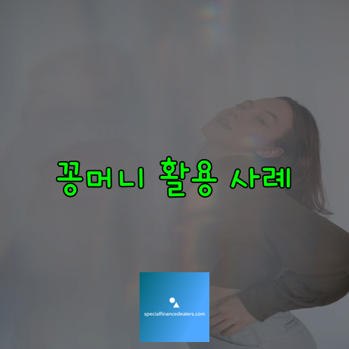 꽁머니 활용 사례